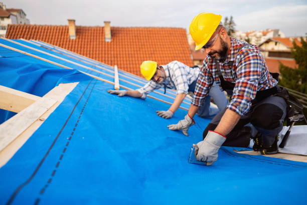 Best Sealant for Roof  in Princeville, HI