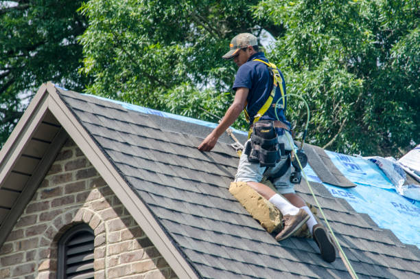 Best Roof Gutter Cleaning  in Princeville, HI